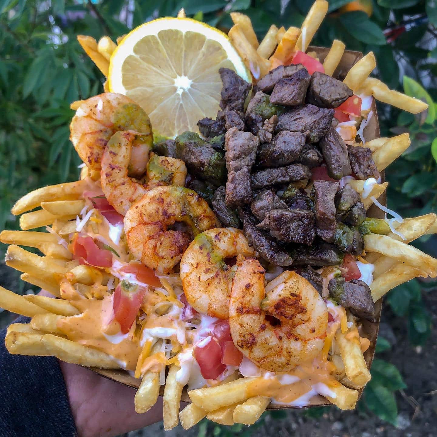 Surf and Turf Loaded Fries