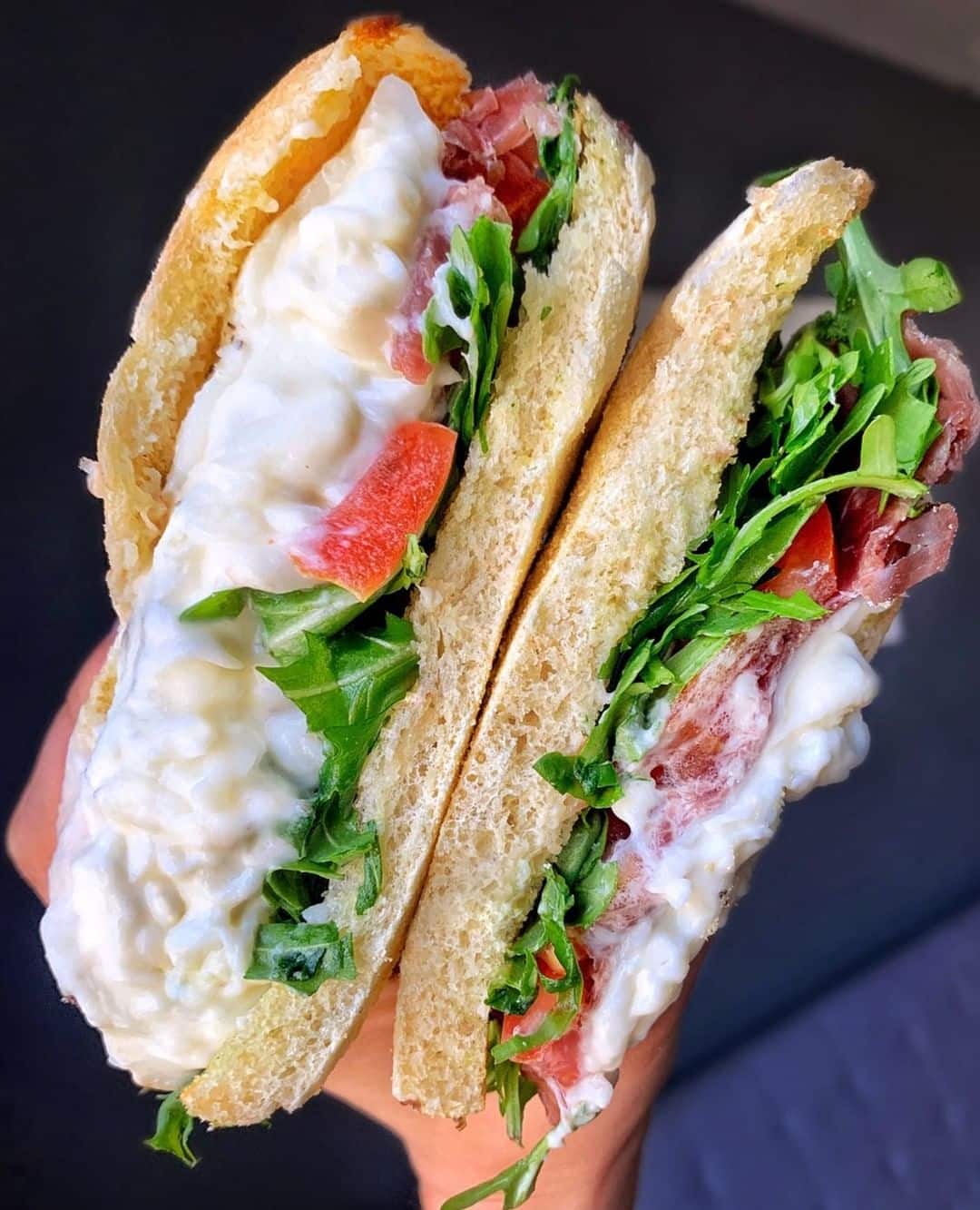 Burrata Crudo Panini